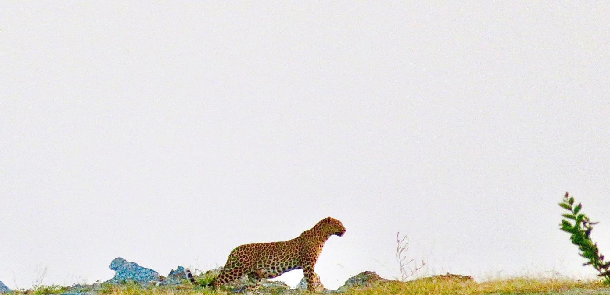 Deogarh Hills A Village Experience Property Kaunthal Esterno foto